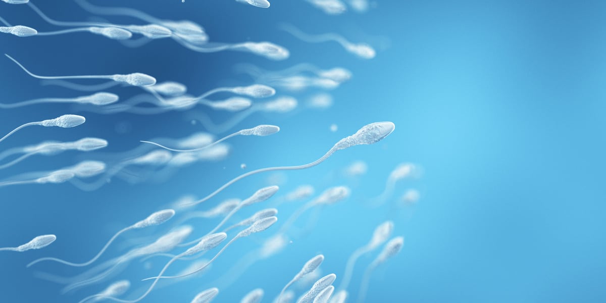 试管婴儿（IVF）